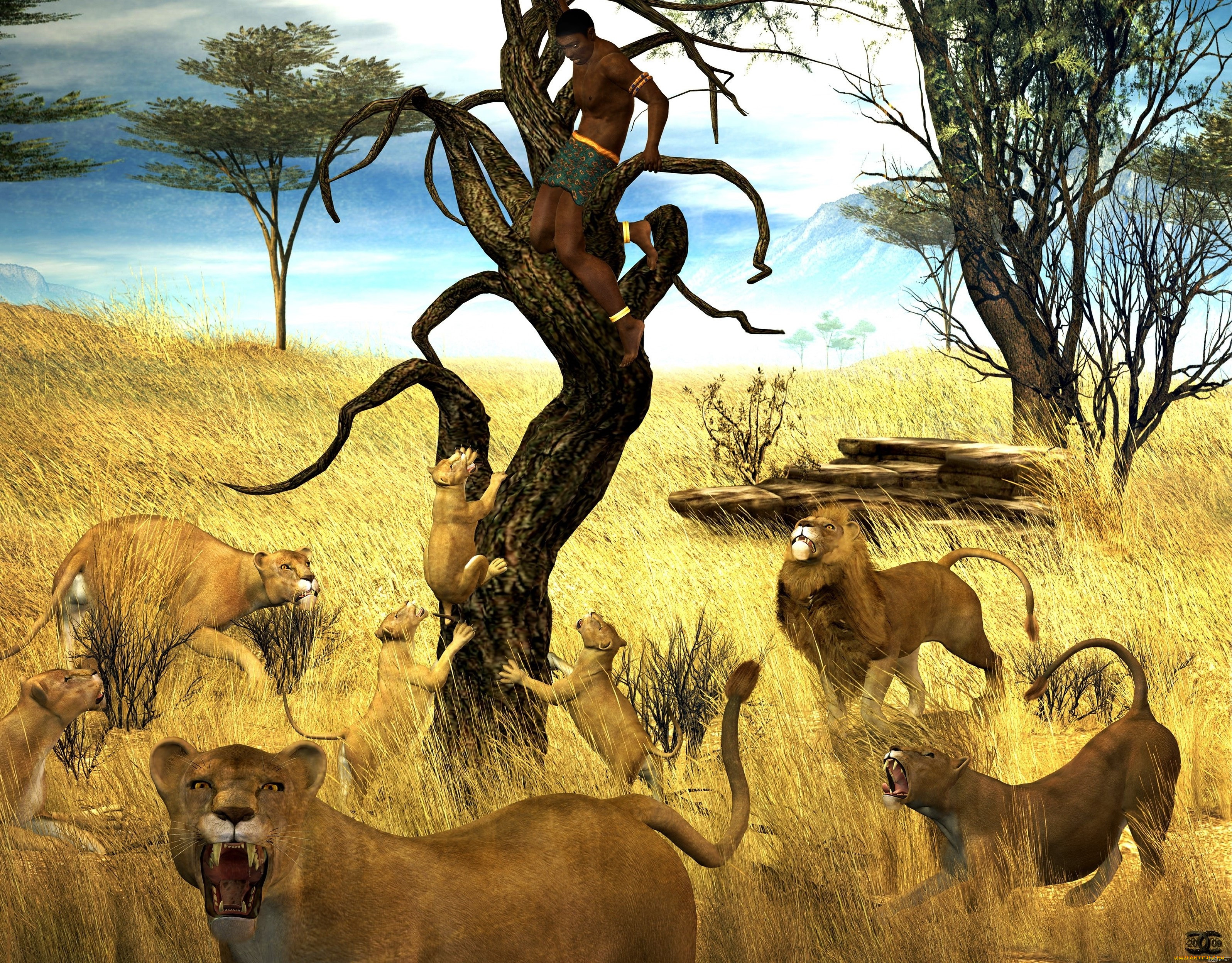 3 ,  , animals, , 